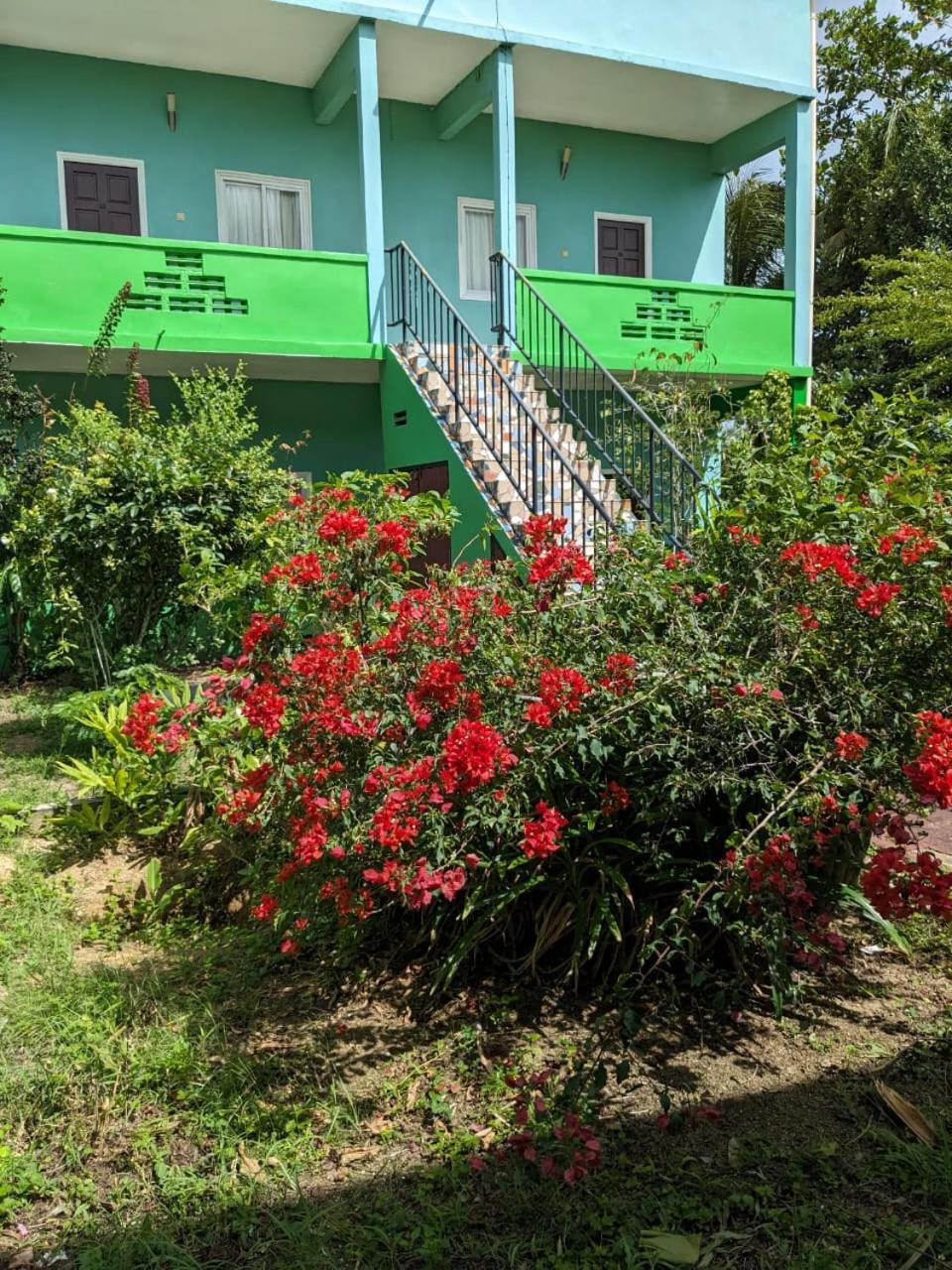 De Kolibrie Appartementen Paramaribo Exterior foto